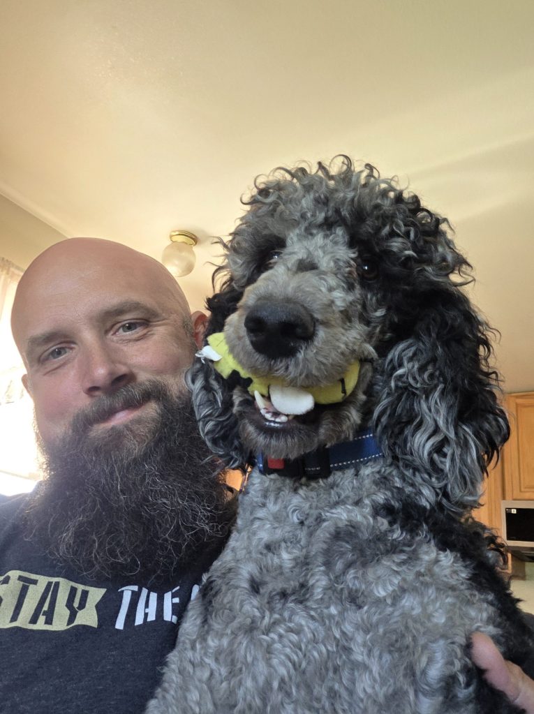 Baron, black and silver abstract Standard Poodle, with a tennis ball